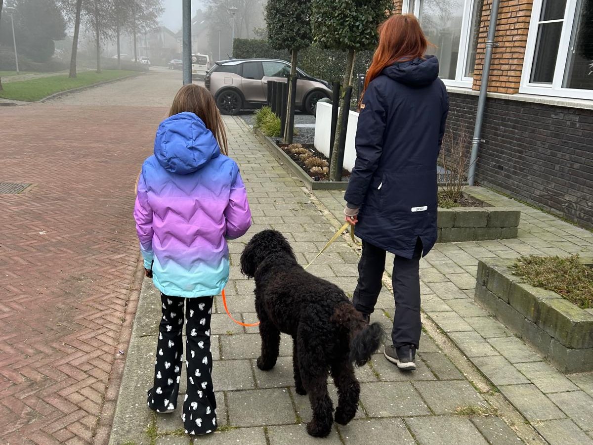 Samen met een hond wandelen tijdens de coaching